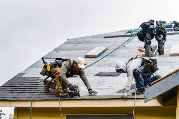 Professional Gutter Installation technician working in Esmont, VA